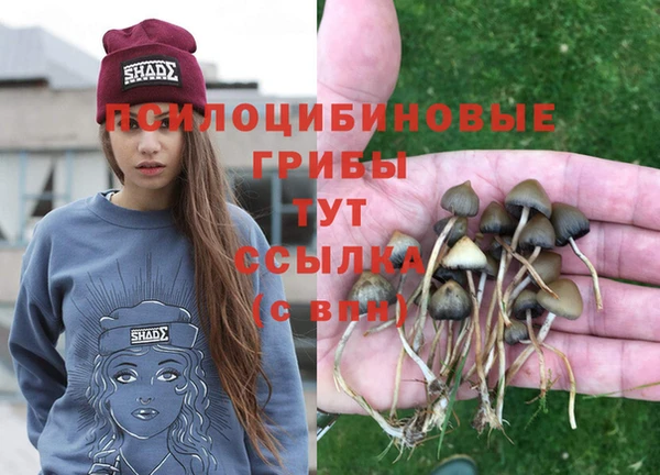синтетический гашиш Абинск