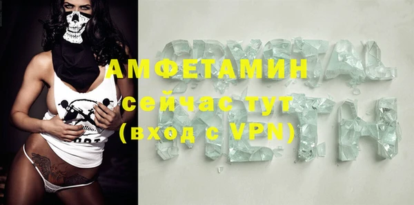 индика Алзамай